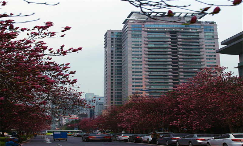 红叶大厦  
