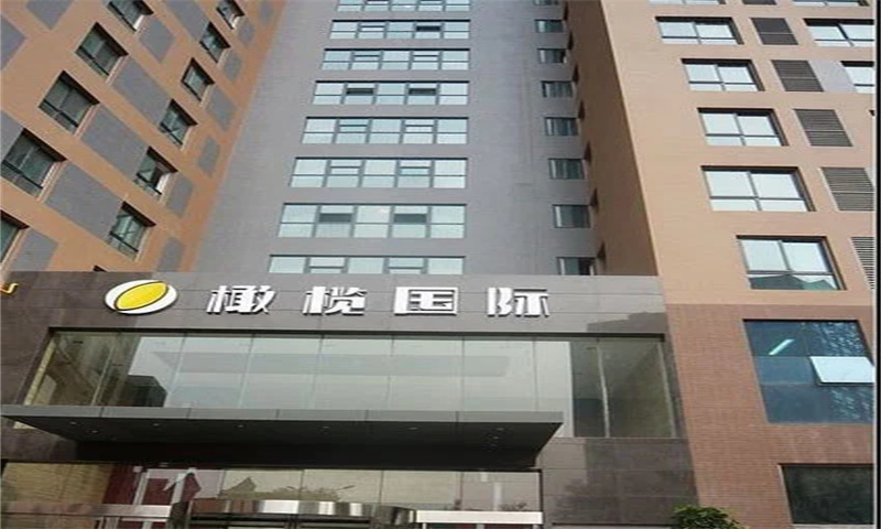 橄榄国际  